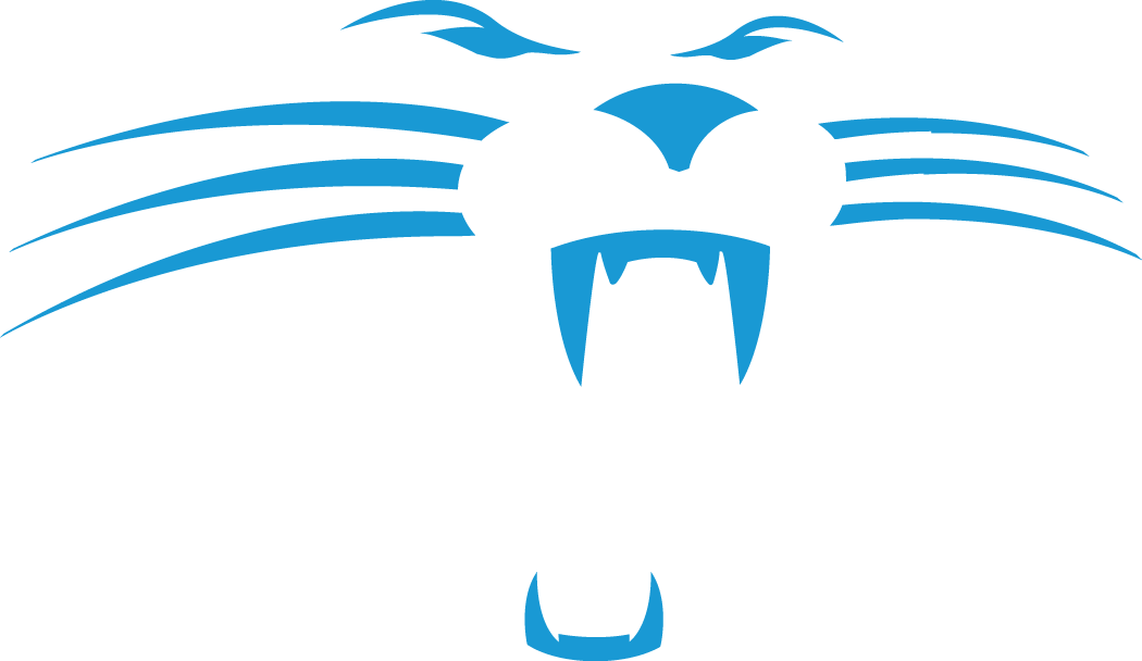 Carolina Panthers 1995-2011 Alternate Logo v3 DIY iron on transfer (heat transfer)